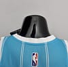 75th Anniversary Hayward #20 Charlotte Hornets Blue NBA Jersey - Image 8