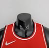 75th Anniversary 2022 Season Chicago Bulls DeROZAN#11 City Edition Red NBA Jersey - Image 8