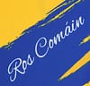 Roscommon GAA 2 Stripe Home Jersey 2022/2023 - Image 5