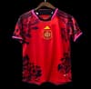 2024 Spain Red Special Jersey