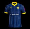 24/25 Hellas Verona Home Jersey