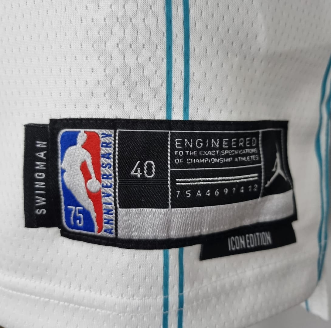 75th Anniversary Ball #2 Charlotte Hornets White NBA Jersey - Image 6