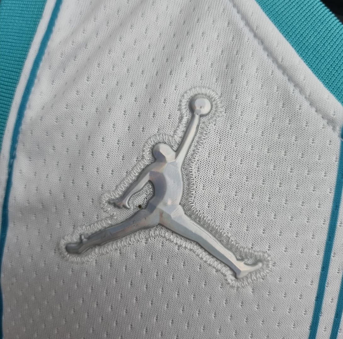 75th Anniversary Ball #2 Charlotte Hornets White NBA Jersey - Image 8