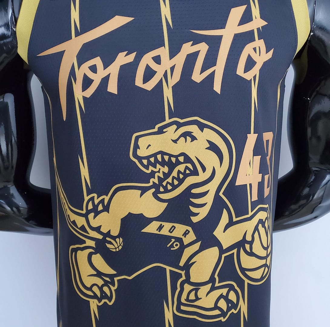 2022 Toronto Raptors SIAKAM#43 City Edition Black NBA Jersey - Image 4