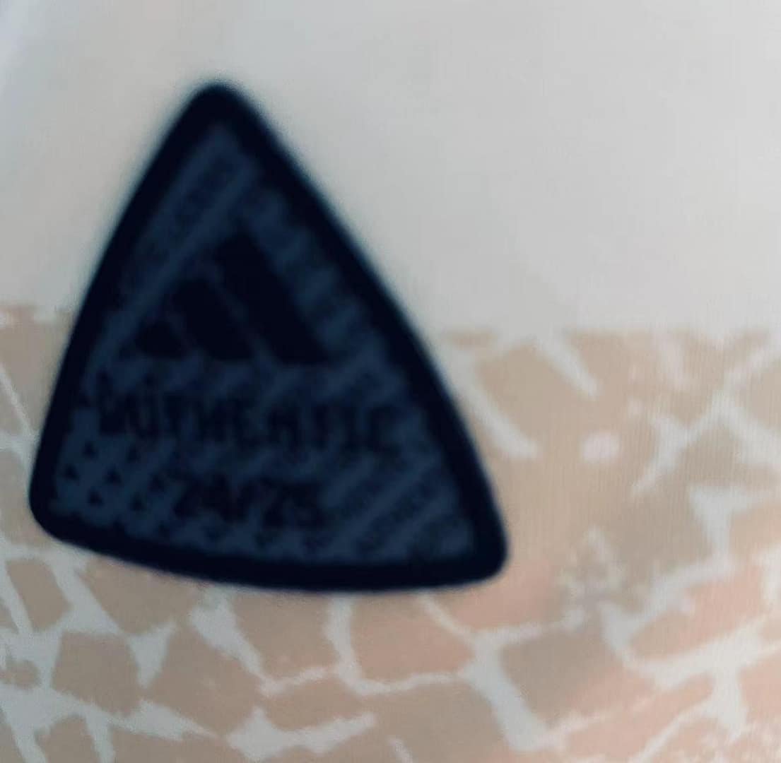 Player Version 24/25 Flamengo Pre-Match White Training Jersey - Image 6