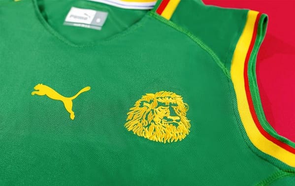Retro 2002 Cameroon Home Soccer Jersey - Image 7
