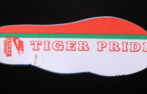Stranger Things x NIKE Air Tailwind QS Hawkins High 1979 Anniversary Shunfeng Co-signed Waffle retro Leisure jogging shoes CJ6108-300 - Image 2