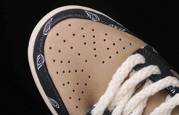 Travis Scott × SB DUNK joint name board shoes cashew fruit CT5053-001 - Image 11