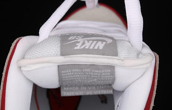 NIKE SB DUNK Low Premium 10th anniversary rock burst cracked low-top skateboard shoes 313170-601 - Image 6