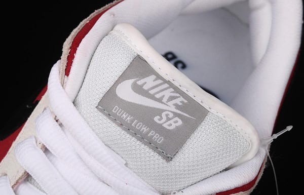 NIKE SB DUNK Low Premium 10th anniversary rock burst cracked low-top skateboard shoes 313170-601 - Image 9