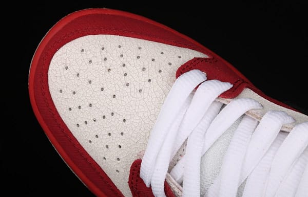 NIKE SB DUNK Low Premium 10th anniversary rock burst cracked low-top skateboard shoes 313170-601 - Image 10