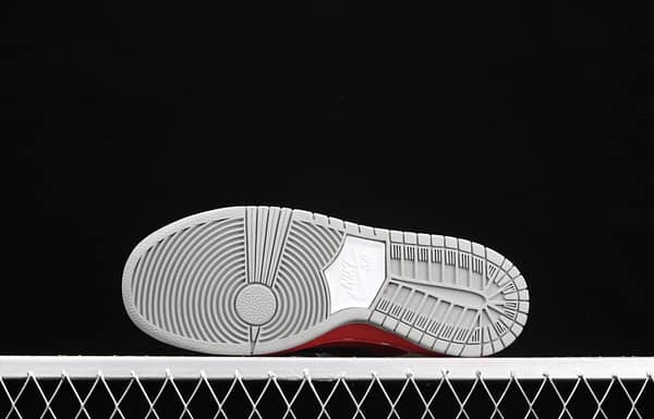 NIKE SB DUNK Low Premium 10th anniversary rock burst cracked low-top skateboard shoes 313170-601 - Image 16
