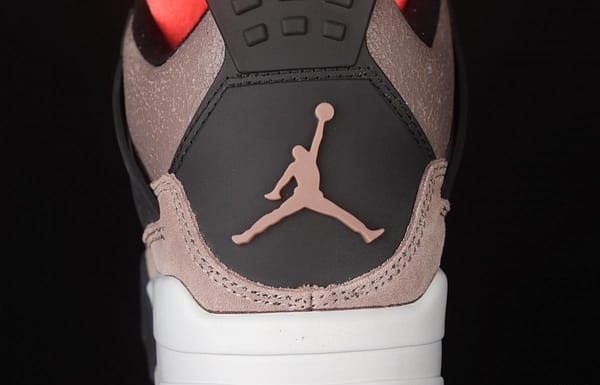 Air Jordan 4 Retro Taupe Haze Black Brown Mocha DB0732-200 - Image 6