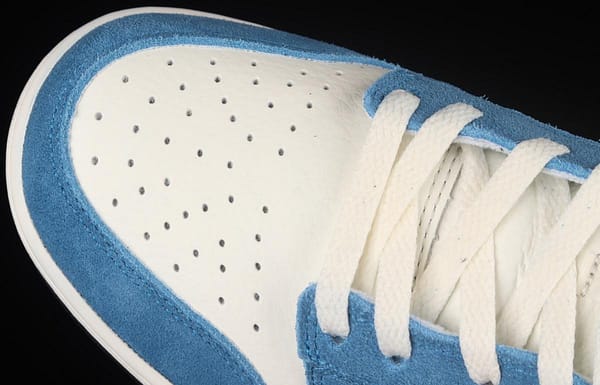 NIKE DUNK Low Retro Prm SB buckle rebound fashion casual board shoes 316272-216 - Image 9