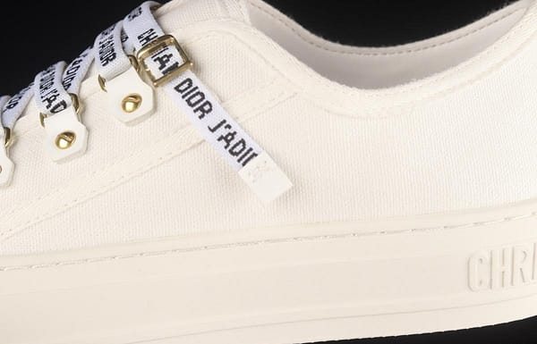 Dior Walk'n Dior 21s embroidery series 3D canvas low upper shoes KCH369STCS900White - Image 8