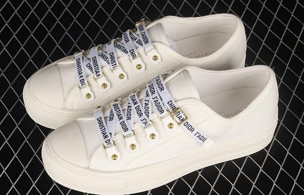 Dior Walk'n Dior 21s embroidery series 3D canvas low upper shoes KCH369STCS900White - Image 11