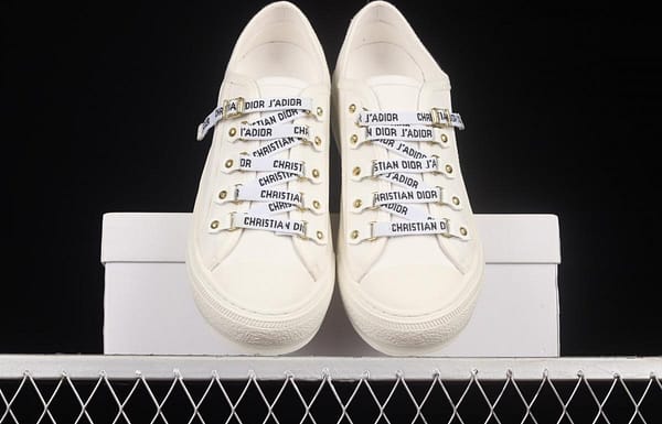 Dior Walk'n Dior 21s embroidery series 3D canvas low upper shoes KCH369STCS900White - Image 13