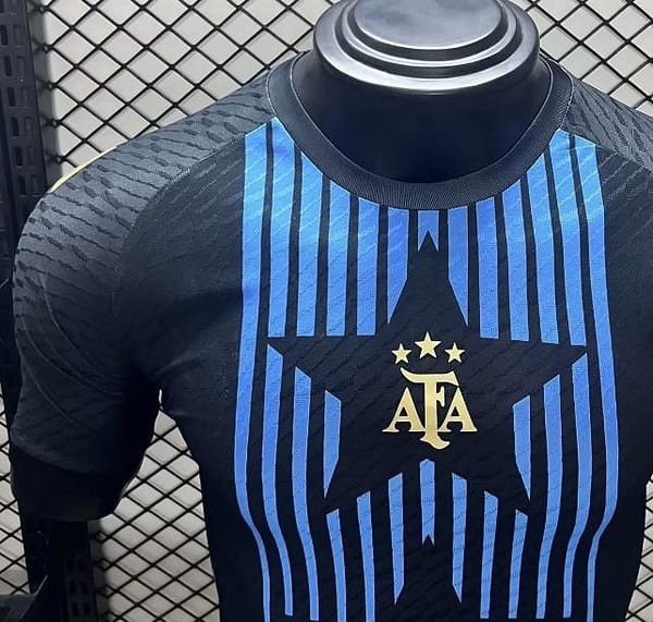 Player Version 2024 Argentina Copa America Light Blue Stripes Pre-Match Jersey - Image 2