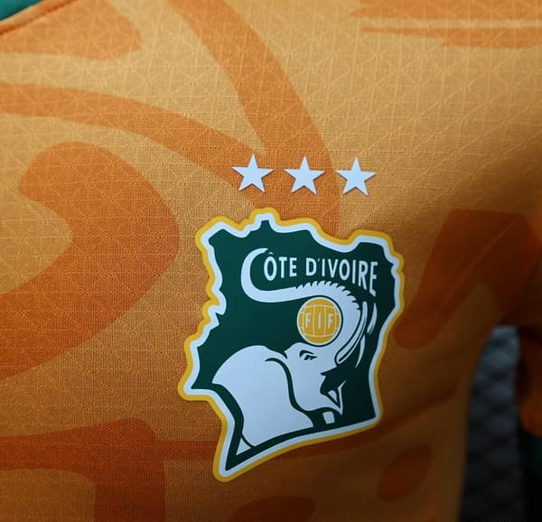 Player Version 2024 IVORY COAST Home Jersey - Image 3