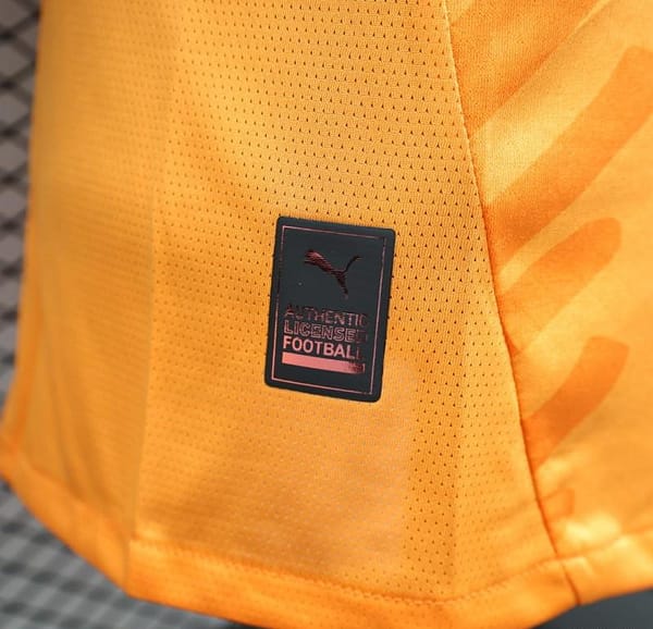 Player Version 2024 IVORY COAST Home Jersey - Image 9