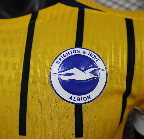 24/25 Player Version Brighton & Hove Albion Away Jersey - Image 5