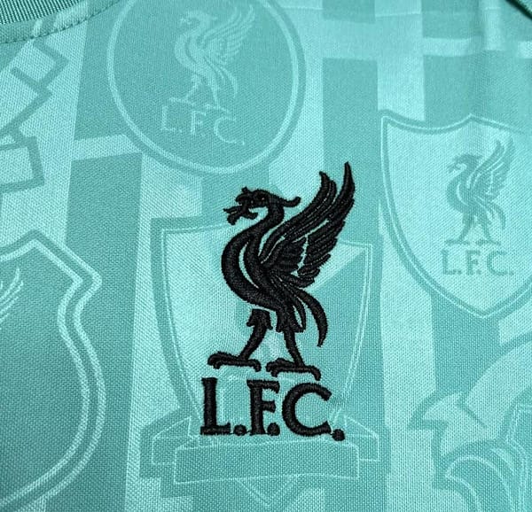 2024/25 Liverpool Pre-match Training Jersey - Image 4