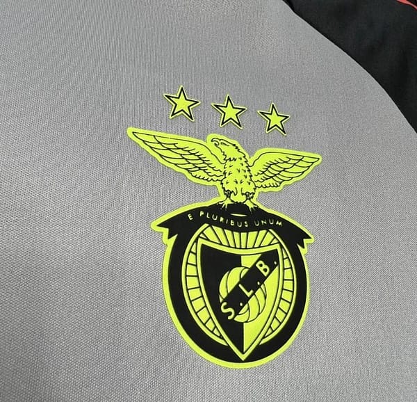 2024/25 Benfica Pre-Match Jersey - Image 5
