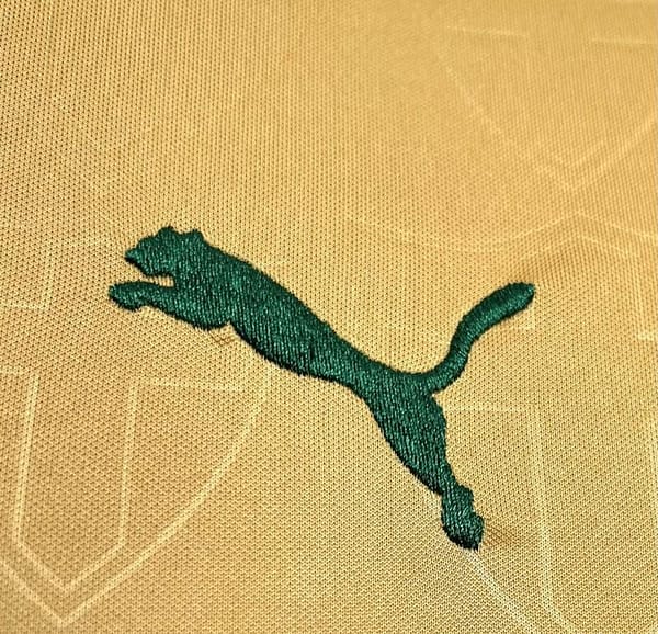 2024/25 Palmeiras Thirds Away Jersey - Image 5