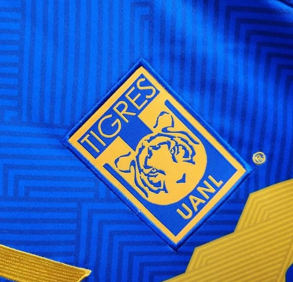24/25 Tigres UANL Away Jersey - Image 2