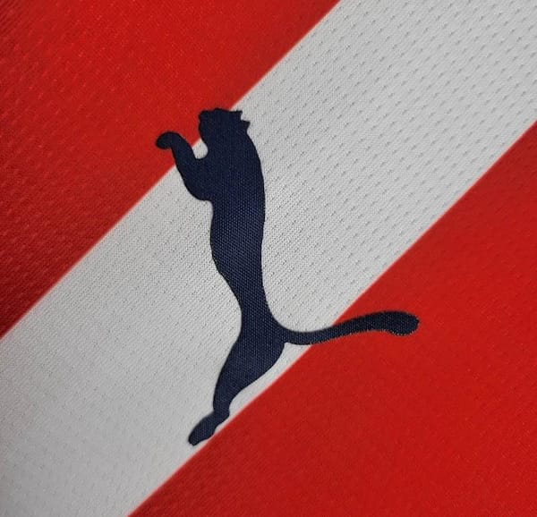 2024 Chivas Guadalajara USA Home Jersey - Image 4