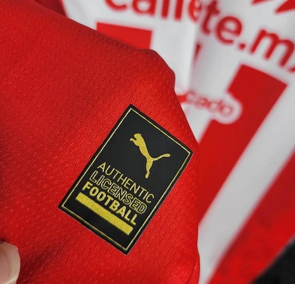2024 Chivas Guadalajara USA Home Jersey - Image 5