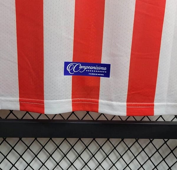 Retro 16/17 Chivas Guadalajara 110-Years Anniversary Home Jersey - Image 8