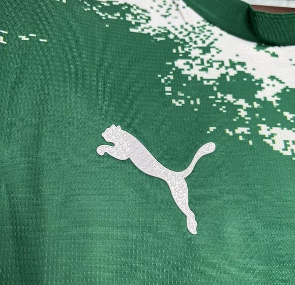 24/25 Palmeiras Special Edition Green And White Jersey - Image 3