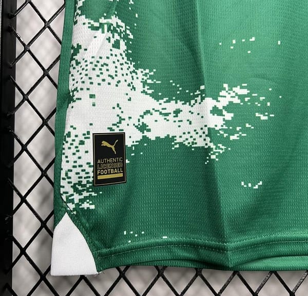24/25 Palmeiras Special Edition Green And White Jersey - Image 5