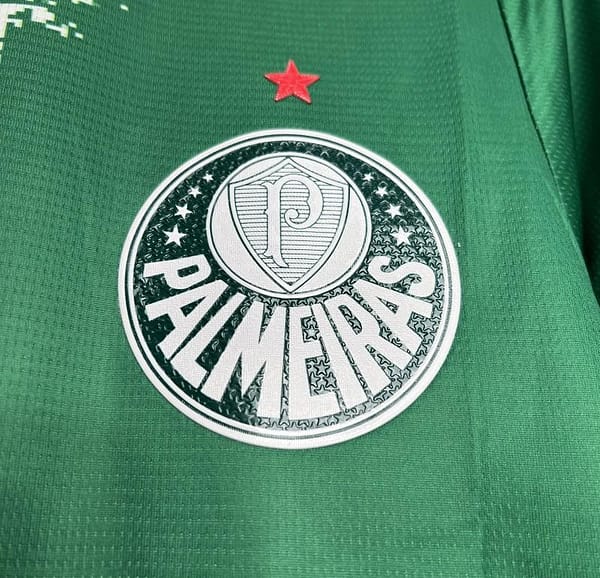 24/25 Palmeiras Special Edition Green And White Jersey - Image 6