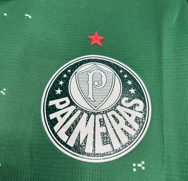 24/25 Palmeiras Special Edition White And Green Jersey - Image 3