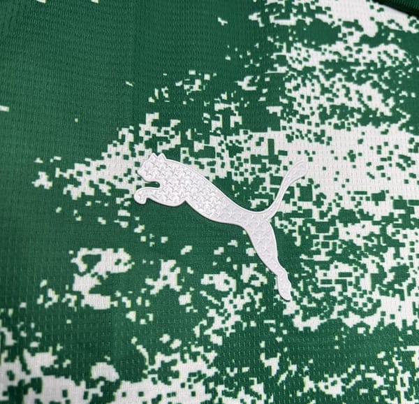 24/25 Palmeiras Special Edition White And Green Jersey - Image 9