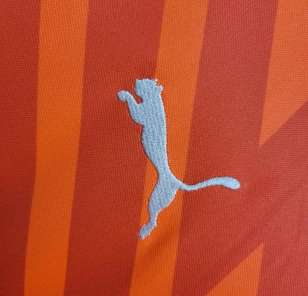 24/25 Palmeiras Orange Goalkeeper - Image 5