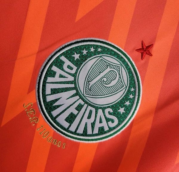 24/25 Palmeiras Orange Goalkeeper - Image 8