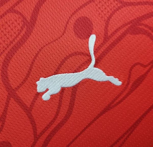 24/25 Austria National Home Jersey - Image 2