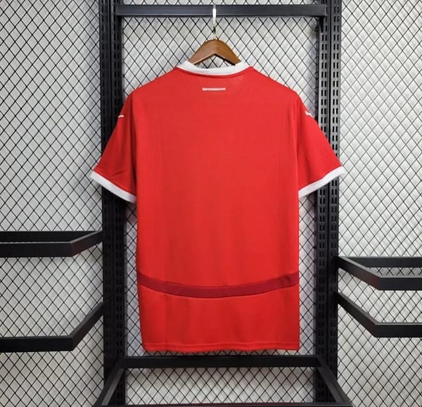 24/25 Austria National Home Jersey - Image 8