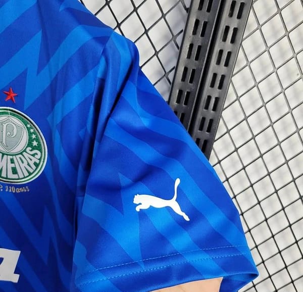 24/25 Palmeiras Goalkeeper Blue Jersey - Image 5
