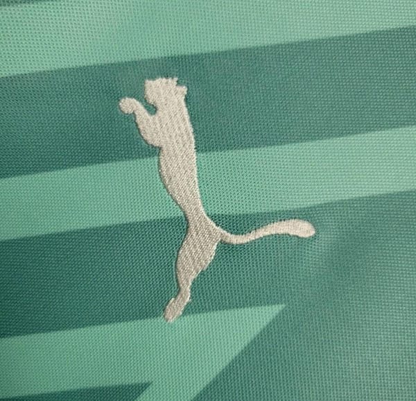 24/25 Palmeiras Goalkeeper Green Jersey - Image 6