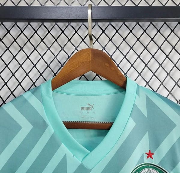 24/25 Palmeiras Goalkeeper Green Jersey - Image 9