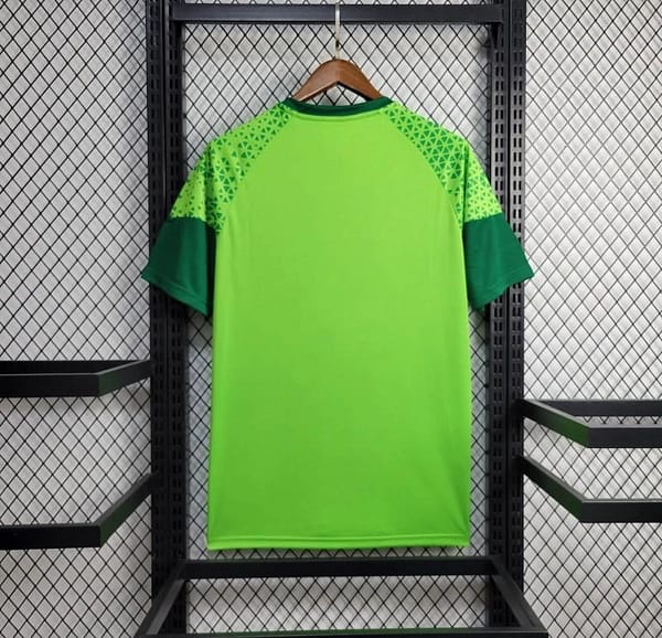 24/25 Palmeiras Green Training Jersey - Image 3