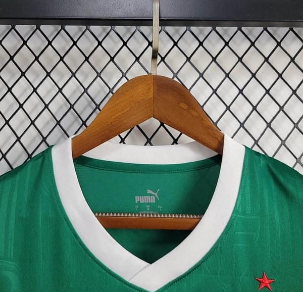 24/25 Palmeiras Home Vest Green Jersey - Image 4