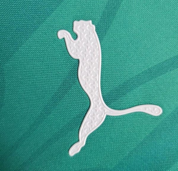 24/25 Palmeiras Training Green Jersey - Image 7