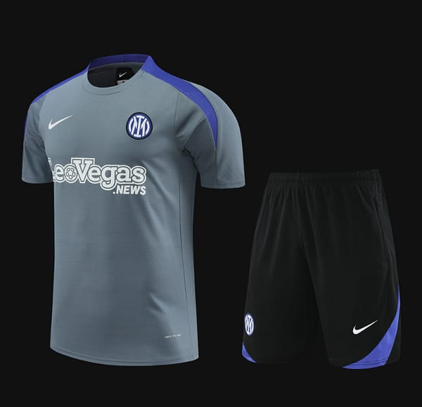 24/25 Inter Milan Grey Short Sleeve Jeresy+Shorts