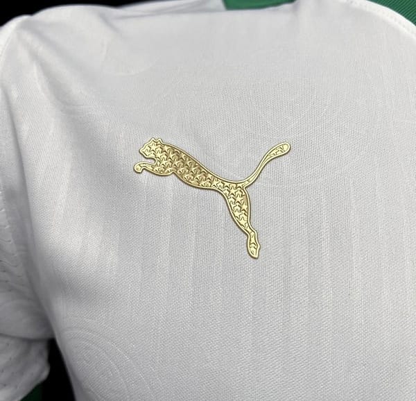 Player Version 24/25 Palmeiras Away White Jersey - Image 5