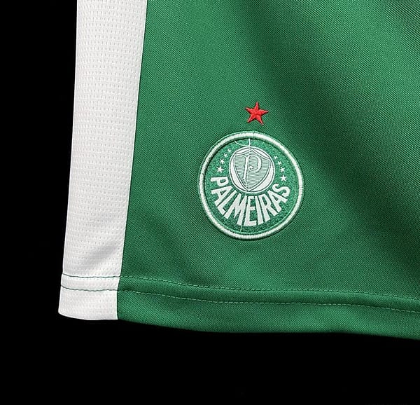 24/25 Palmeiras Away Green Shorts - Image 4